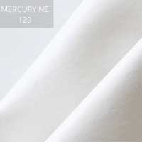 Mercury 120