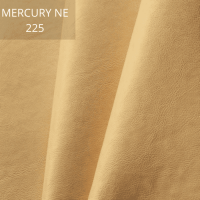 Mercury 225