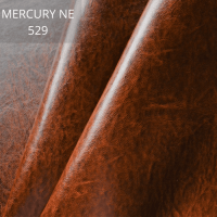 Mercury 529