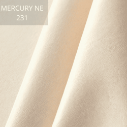 Mercury 231